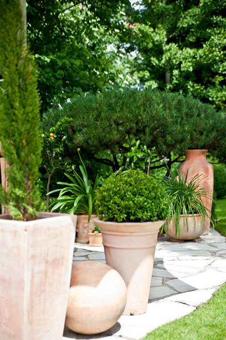 Pflanzen in Terrakotta-Töpfen sorgen für mediterranes Flair auf der Terrasse

